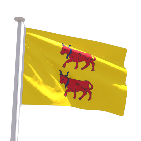 Drapeau Bearn