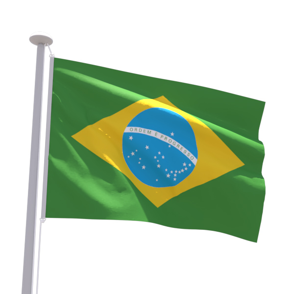 Drapeau Brésil