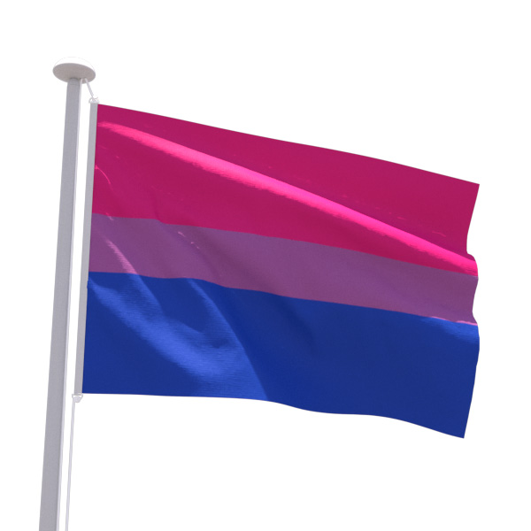 Drapeau LGBT Bisexuel