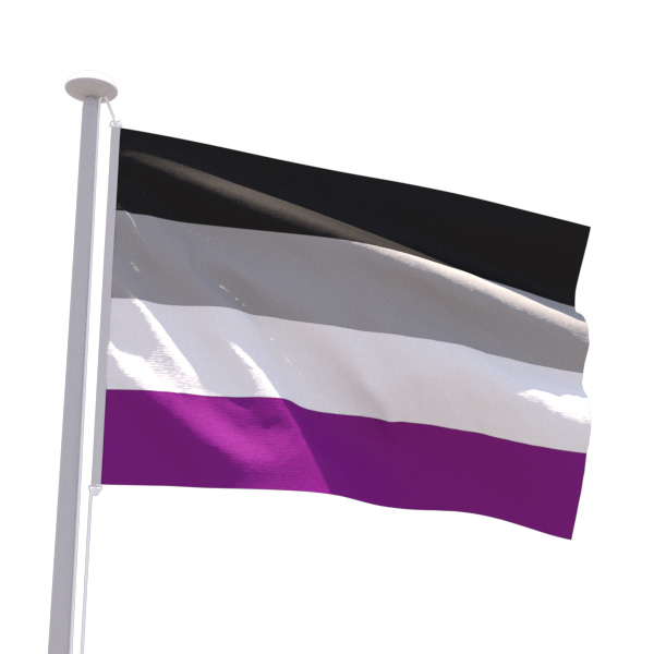 Drapeau LGBT ACE Asexuel
