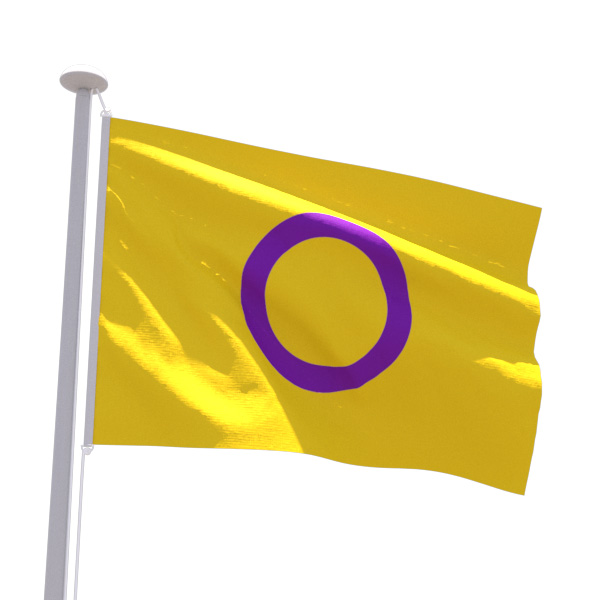 Drapeau LGBT Intersexe