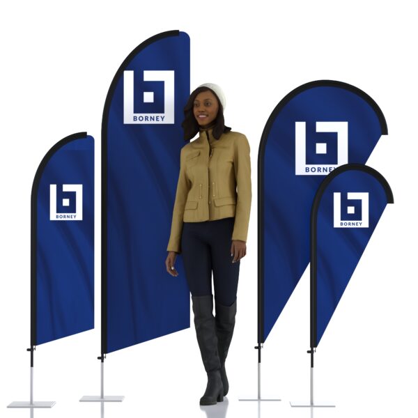 Voile + mâts fibre de carbone