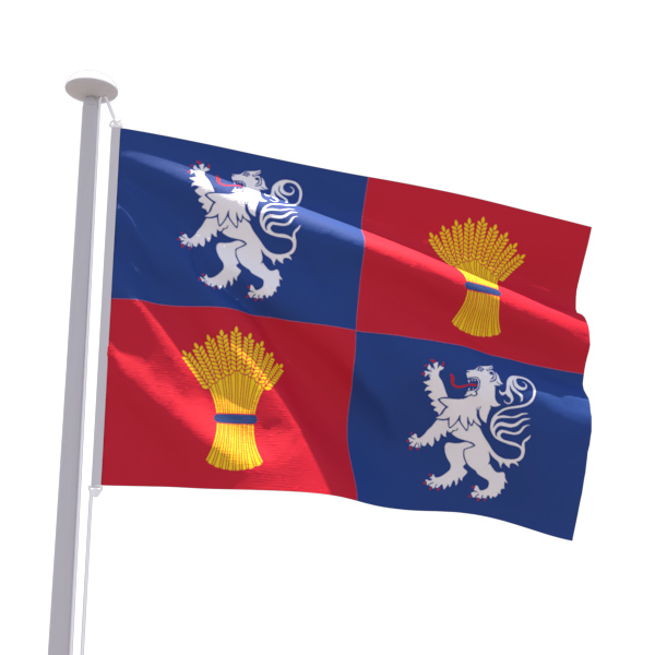 Drapeau Gascogne