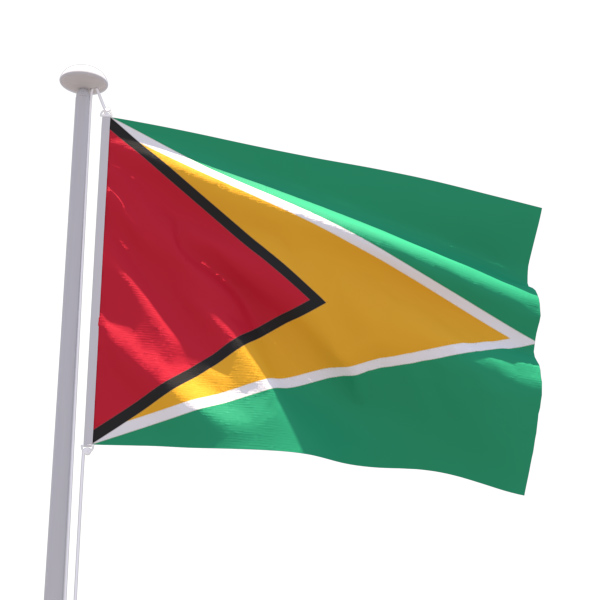 Drapeau Guyana