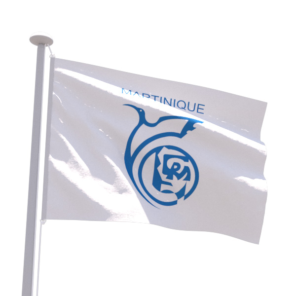 Drapeau Région Martinique