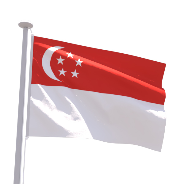 Drapeau Singapour